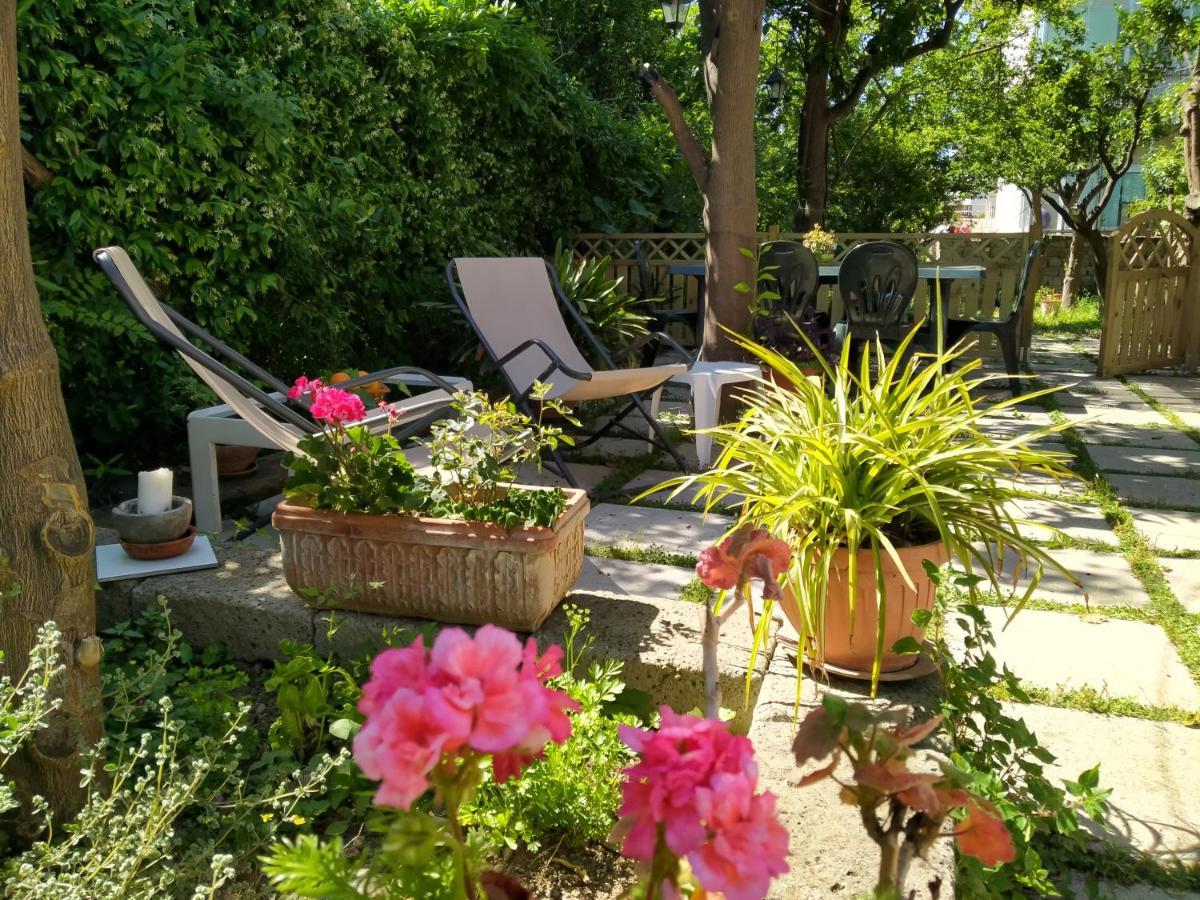 Villino L'Aranceto Sorrentino Bed and Breakfast Meta Eksteriør billede