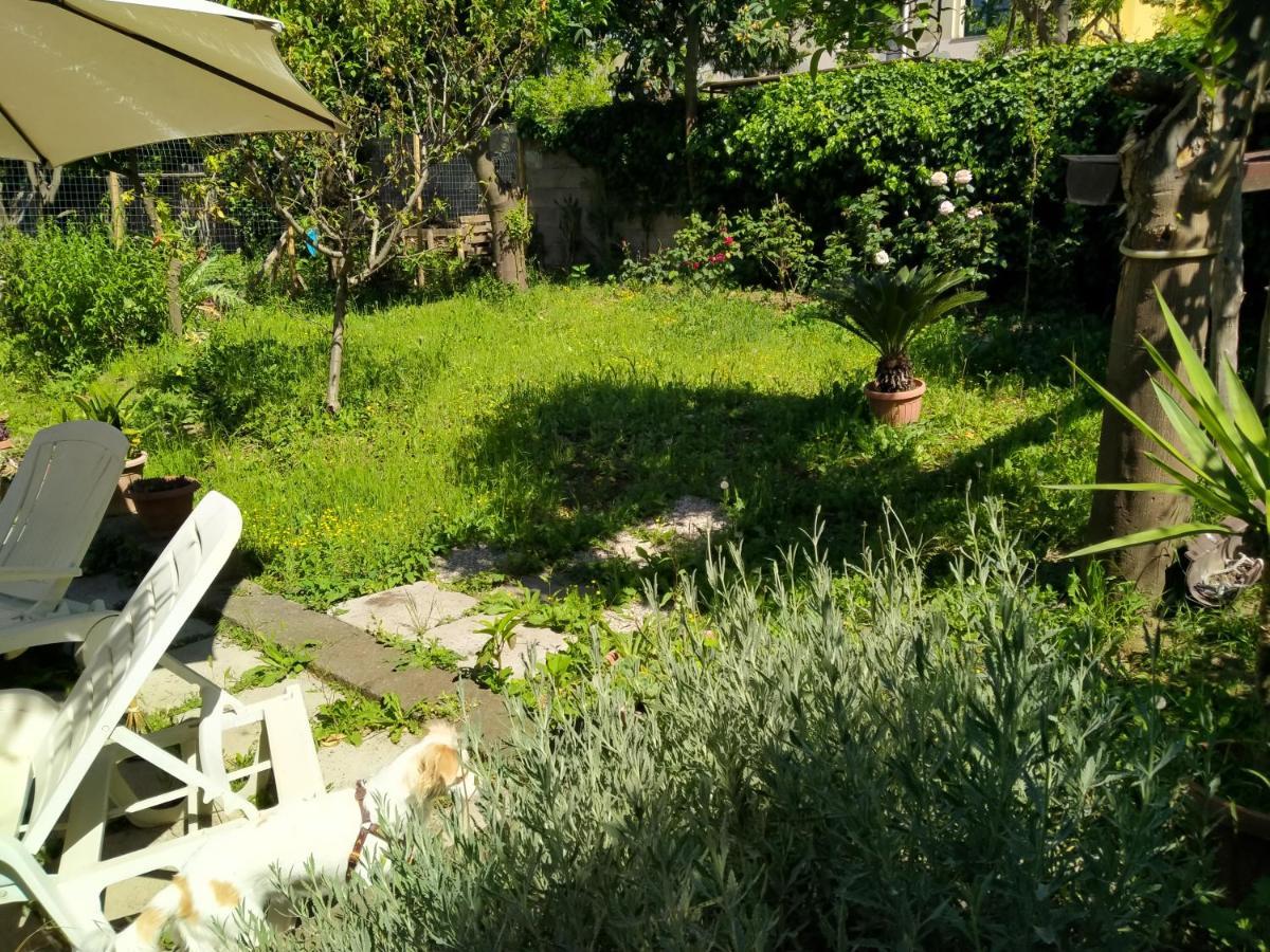 Villino L'Aranceto Sorrentino Bed and Breakfast Meta Eksteriør billede
