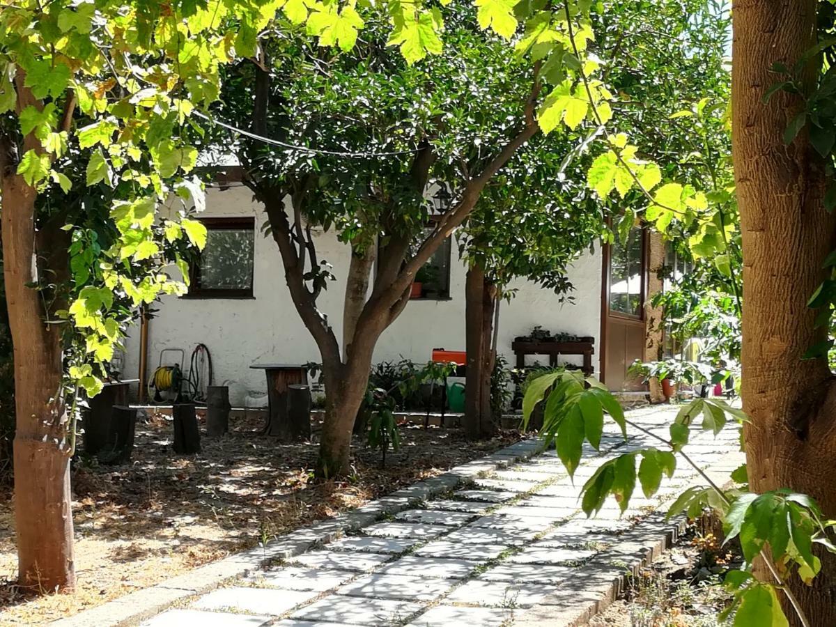 Villino L'Aranceto Sorrentino Bed and Breakfast Meta Eksteriør billede