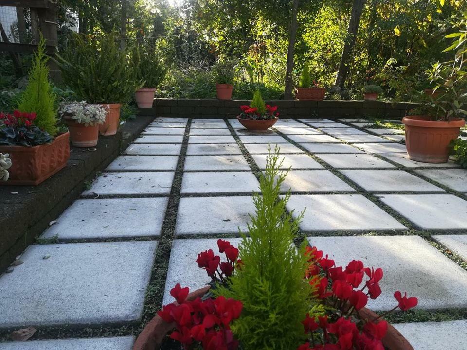 Villino L'Aranceto Sorrentino Bed and Breakfast Meta Eksteriør billede